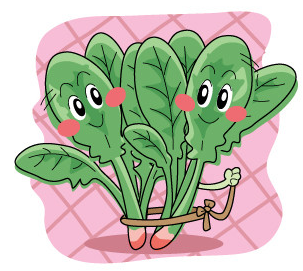 让你遇见一个不一样的菠菜君